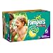 Pampers Baby Dry Diapers Economy Plus Pack, Size 6, 128 Count