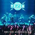 Tesla - Five Man Acoustical Jam