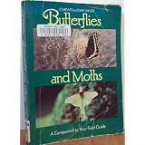 Butterflies and Moths: A Companion to Your Field Guide (Phalarope Books)