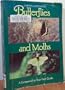 Butterflies and Moths: A Companion to Your Field Guide (Phalarope Books)