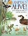 Animals Alive!: An Ecologoical Guide to Animal Activities