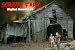 SCREAM FARM