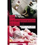 The Methamphetamine Crisis: Strategies to Save Addicts, Families, and Communities book cover