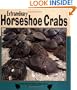 Extraordinary Horseshoe Crabs (Nature Watch (Lerner))
