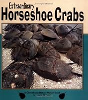 Extraordinary Horseshoe Crabs (Nature Watch)