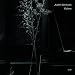 Judith-Oylam