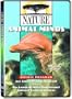 Nature: Animal Minds