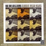 Review Big Joe Williams  / Classic Delta Blues