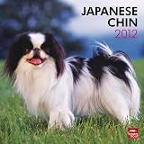 Japanese Chin 2012 Square 12x12 Wall Calendar