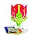 American Educational Flower Model Activity Set