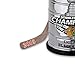 NHL Licensed Chicago Blackhawks 2015 Stanley Cup Champions Christmas Ornament by The Bradford Exchange