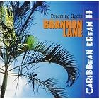 Click here to buy CARIBBEAN DREAM II, DREAMING AGAIN by  Brannan Lane .