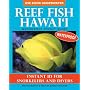 Reef Fish Hawaii: Waterproof Pocket Guide