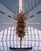 Book Sculpture, Glass and American Museums