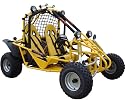 150cc Go Kart 2 Seater