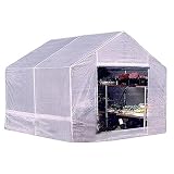 Portable 10x10' Greenhouse by KING CANOPY
