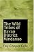 The Wild Tribes of Davao District  Mindanao