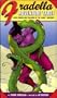Fradella Adventure Tarot