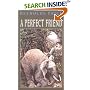 A Perfect Friend