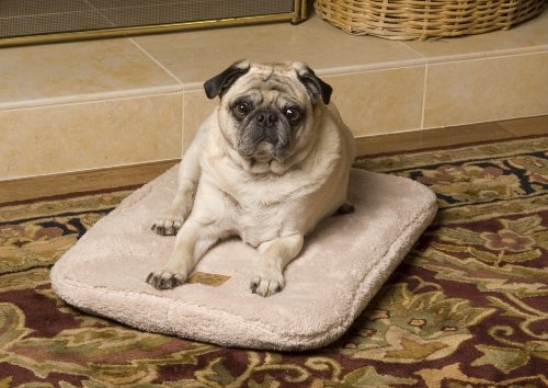 Precision Pet® Snoozy Ortho Air Therapeutic Inflatable Pet Bed