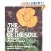 Life of the Soul: Wisdom of Julian of Norwich