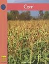 Corn (Yellow Umbrella Books)