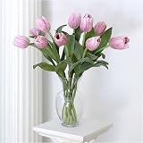 Pink Triumph Tulip Stems