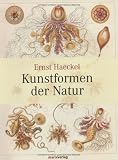 Kunstformen der Natur