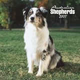 Australian Shepherds 2007 Calendar