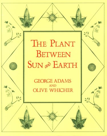 The Plant between Sun and Earth under Morphology & Anatomy in The Books Store