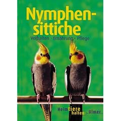 Nymphensittiche