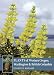 Plants of Western Oregon, Washington & British Columbia by Eugene N. Kozloff