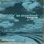 We Drove All Night: Pickin on Sugarland: Bluegrass