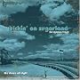 Pickin' on Sugarland: The Bluegrass Tribute - We Drove All Night