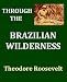 Through the Brazilian Wilderness width=
