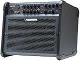 Fishman Loudbox 100