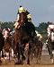 1977 Kentucky Derby Seattle Slew #816 Print Poster Art Giclee Unknown 8x10