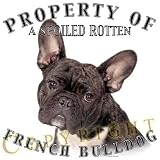 French Bulldog Mousepad Dog Mouse Pad Property Of
