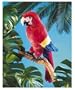 Folkmanis Scarlet Macaw Puppet