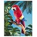 Scarlet Macaw Puppet