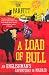 A Load of Bull: An Englishman's Adventures in Madrid