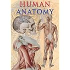 HUMAN ANATOMY (TAJ Big Books) by General Editors