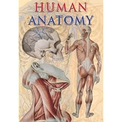 Human Anatomy (TAJ Big Books)
