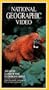 National Geographic's Amazon: Land of the Flooded Forest [VHS]