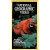 National Geographic's Amazon: Land of the Flooded Forest [VHS]