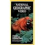 National Geographic's Amazon: Land of the Flooded Forest [VHS]