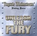 Unleash the Fury