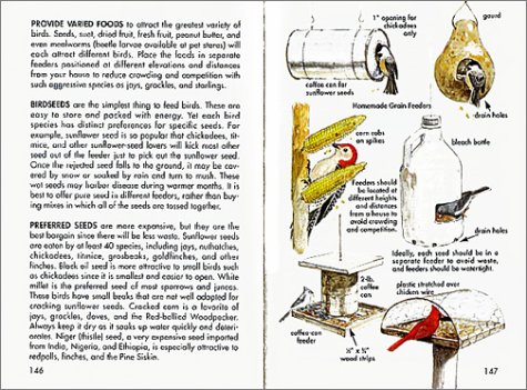 Cover image : Bird Life: A Guide to the Behavior and Biology of Birds (Golden Guide)