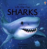 Sharks (Usborne Lift-the-Flap Learners) Sharks (Usborne Lift-the-Flap Learners)