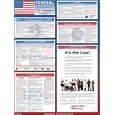 Federal Labor Law Poster - English - Setting Industry Standards - Includes Federal Minimum Wage, Family and Medical Leave Act , Fair Labor Standards Act, Employee Polygraph Protection Act,Safety and Health Administration and more.... (Poster)